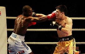 欧美拳王图片大全,拳王风采大盘点